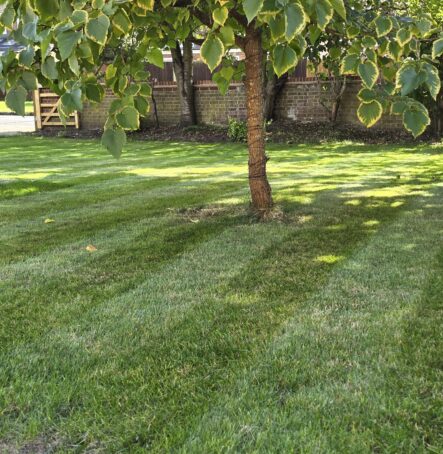 Turfing