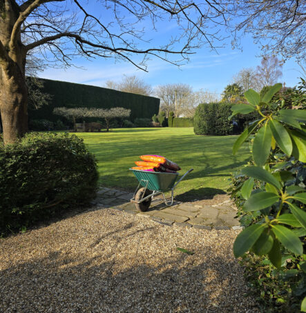 Garden tidy ups
